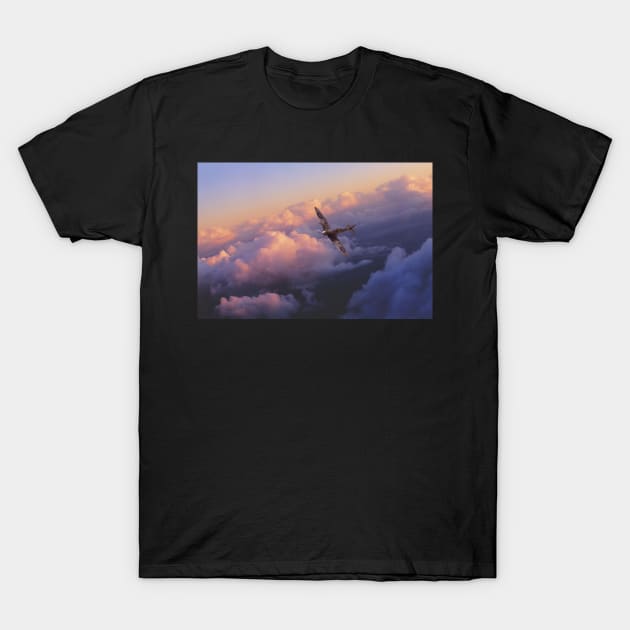 Spitfire Hour T-Shirt by aviationart